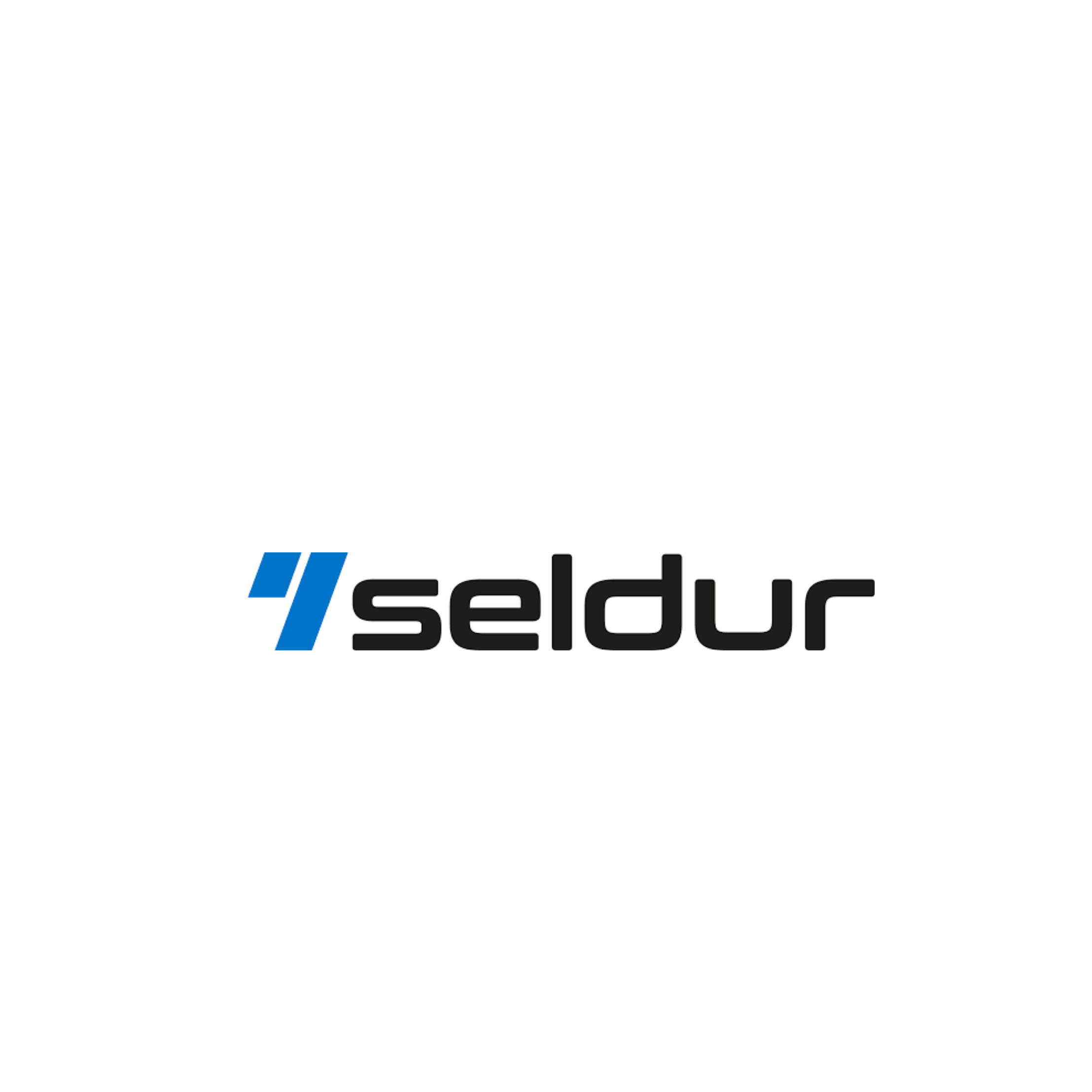 Seldur logosu