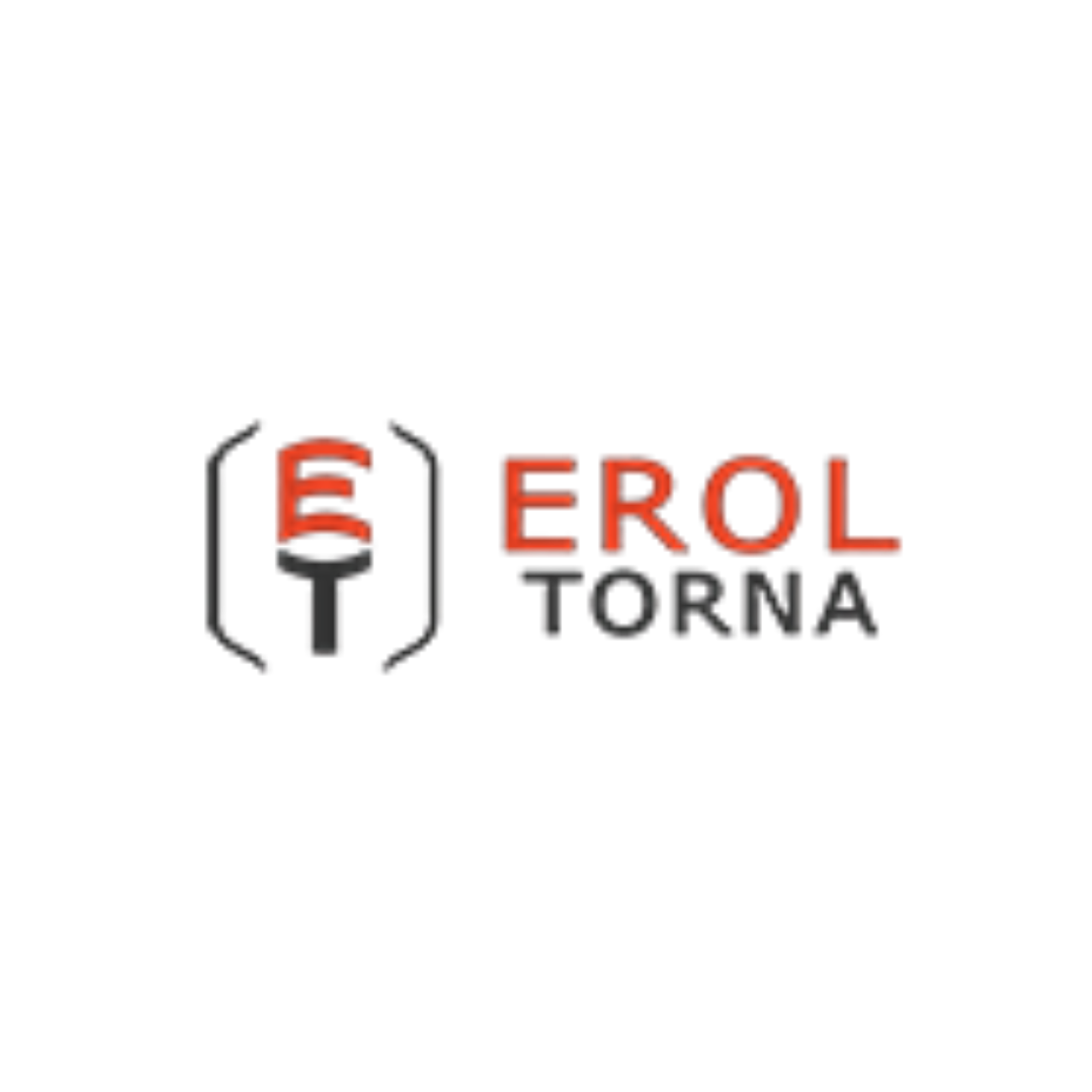 Erol Torna logosu